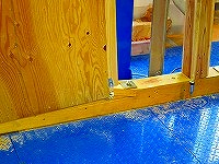 IMG_0022 - コピー