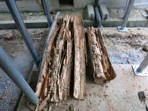 IMG_0019 - コピー